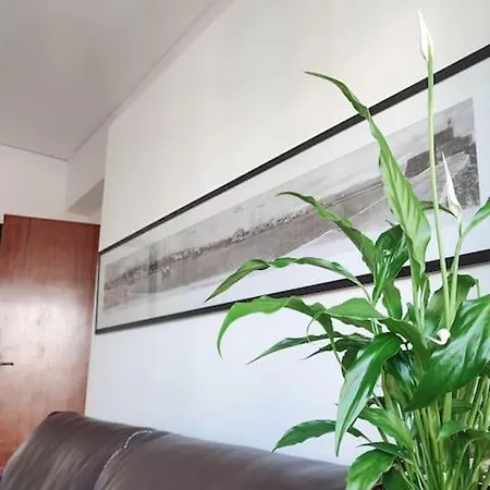 Apartment With Homegym, Next To The Main